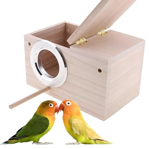 BESPORTBLE Birds House Predator Guards - Set of 10 Stainless Steel Birds House Rings Metal Birdhouse Guards, Birds House Hole Protector Guards - Protects The Entry Hole (5.5 cm Opening)