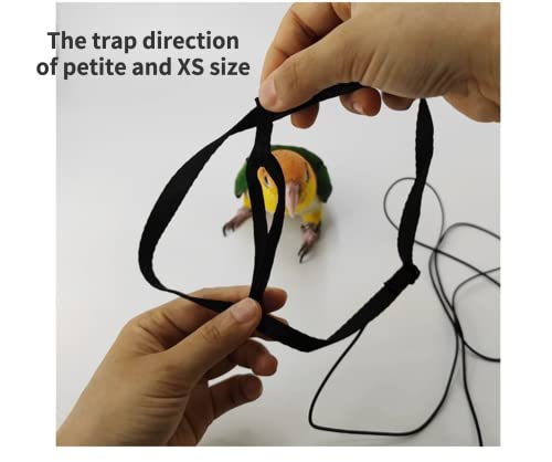 Adjustable Bird Harness with 78.7 Inch Leash, Outdoor Flying Training Rope Kit for Bird Parrots, Parrot Flying Rope Straps Outdoor Training Traction Rope for Small Medium Large Size Birds (XS) - size: XS