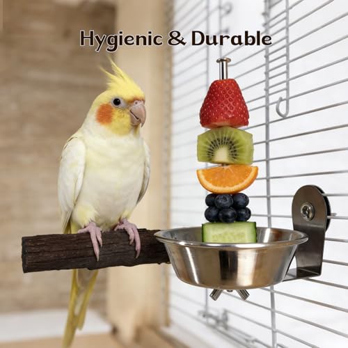 Stainless Steel Bird Cage Fruit Fork, Bird Water Feeder & Bird Bowl Set - Pet Parrot Vegetable Feeding Tool with Secure Cage Mount（2-Pack