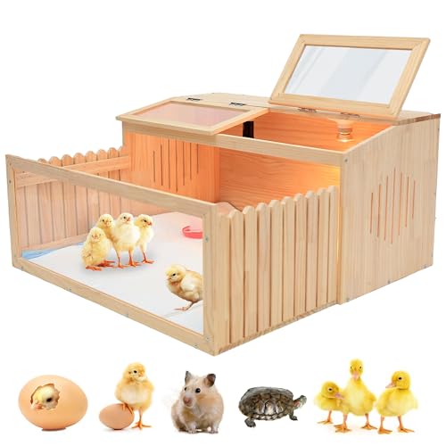 Large Chicken Brooder Box for Chick,Wooden Brooder Box 32" with Bulb Set and Thermometer - Accommodates Up to 25 Chicks-Ideal for Ducks,Quails,Hamsters,and Lizards（32x16x16 Inches）