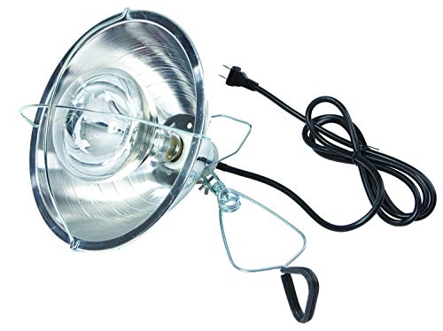 Little Giant® Brooder Reflector Lamp | Heat Lamp for Baby Chicks | 10.5 inch | 250 Watt | Egg Heat Light