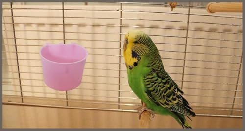 10 Pack Cage Cups Birds Feeders Seed Bowl Chicken Feeding Watering Dish Rabbit Water Food Hanging Wire Cages Box 8oz Coop Cups for Pet Parrot Parakeet Gamefowl Poultry Pigeon (Pink) - size: 10PCS Pink