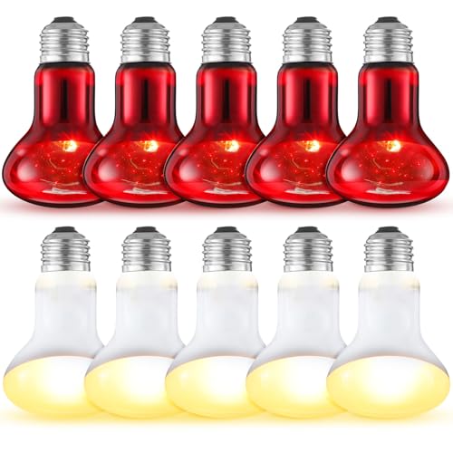 10 Pcs 75w Reptile Heat Lamp Bulb Day and Night Basking Spot Bulb Set UVA Daylight Bulb Amphibian Night Red Infrared Heating Lamp for Turtle Bearded Dragon Lizard Leopard Gecko