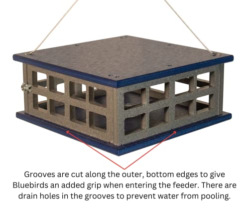 Recycled Poly Lumber Caged Platform Bluebird Mealworm Feeder (Gray/Blue) - color: Gray/Blue