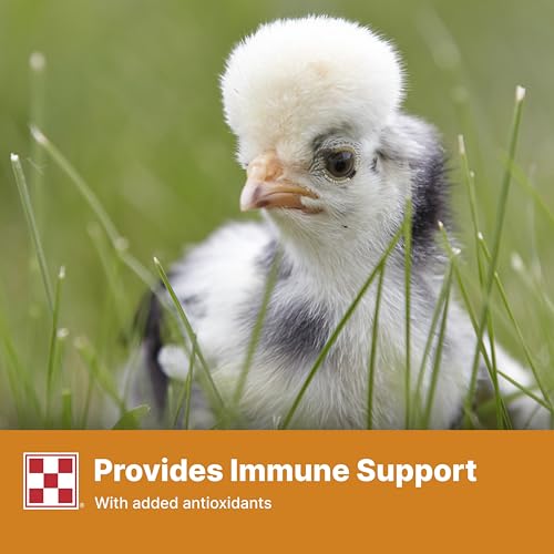 Purina Start and Grow | Non-Medicated Chick Feed Crumbles | Nutritionally Complete - 25 Pound (25 lb.) Bag