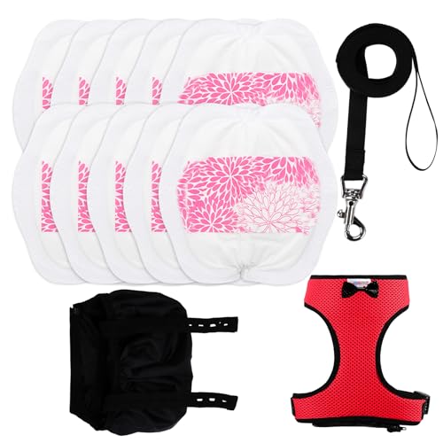 Adjustable Chicken Harness Diaper (5.4ft Leash) – Breathable & Washable Secure Training for Hens, Ducks & Chicks | Outdoor Walking & Discipline Solution - color: Red, size: Small