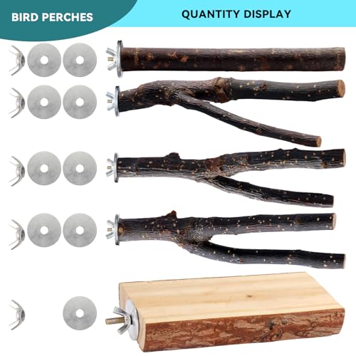 Bird Toys Parakeet Perch Budgie Perch Wood Stand Fork Toys Multi-Branch Perch Platform Toy for Small Conures,Cockatiel,Parrotlet,Lovebird,Parrot,Finches