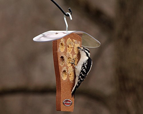 Peanut Butter Feeder with Clear Roof (Chocolate) | Clear Roof