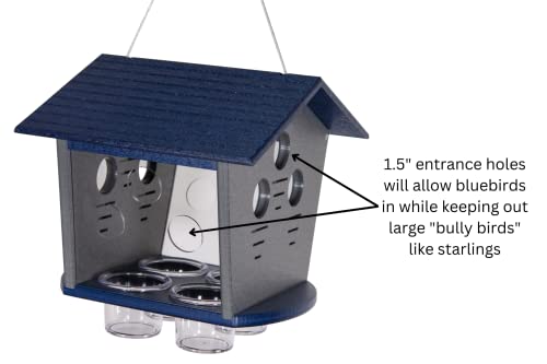 Ultimate Enclosed Bluebird Feeder - Keeps Starlings and Bully Birds Out - Holds 2 Cups Dried Mealworms