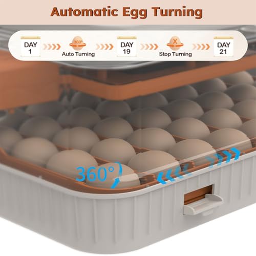 56-Egg Incubator, Automatic Egg Turner with LED Candler, Smart Temperature & Humidity Control, Automatic Water Refill, 360° Clear View, Airflow Circulation – Chicken, Duck, Quail, Bird Egg Hatcher