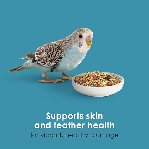 Kaytee Forti-Diet Pro Health Nourish+Protect Parakeet Food, 2 Pounds | Balanced digestion daily. Parakeet seed with superfoods. Prebiotics, probiotics, small bird food - size: 32 Ounce (Pack of 1)