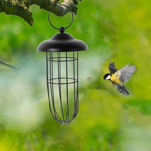 Parakeet Millet Holder Wire Feeder Millet Holder Treat Food for cage Wire Cages for feeders Squirrel Birds Supplies Wild