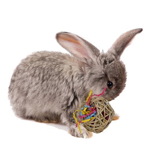 Super Bird Creations SC228 Bunny Foraging Basket - Toss & Chewable Bamboo Plate w/ 25 Engaging Toys - Ideal for Rabbits Hamsters Cockatiel Parrot - Bundle Toys for Medium Birds & Small Animals, 9"x9"