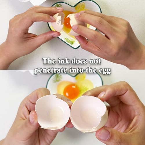 Egg Dater Kit, Date Stamp, 2 Fade-Resistant Inks (Red & Black), Stamper Pad, 50 Farm Fresh Eggs Instructions, for Chicken Duck Turkey Goose Eggs