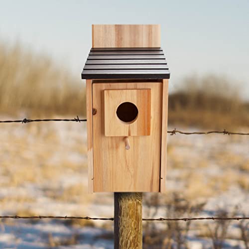 CARTMAN 0.5 Inch Thick Blue Bird Box House, Wood Bird Houses for Outside, Hummingbird House for Outside Clearance Garden Country Cottages, 2PK - style: Mailbox 2pk