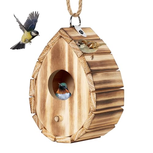 Hummingbird House for Outside - Natural Wooden Birdhouse for Bluebirds, Finches, Cardinals - Small Hanging Bird Nesting Box for Garden, Patio, or Yard - 5.9" D x 4.1" W x 3.8" H