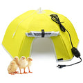 Large Chick Brooder Heating Plate Chick Brooder Box 21.6" Heat up to 50 Chicks, Chick Warmer Chicken Coop Heater Poultry Brooder for Chick Duckling Quail Goose Bird Hatchling | 21.6" Heat up to 50 Chicks, Chick Warmer Chicken Coop Heater Poultry Brooder f