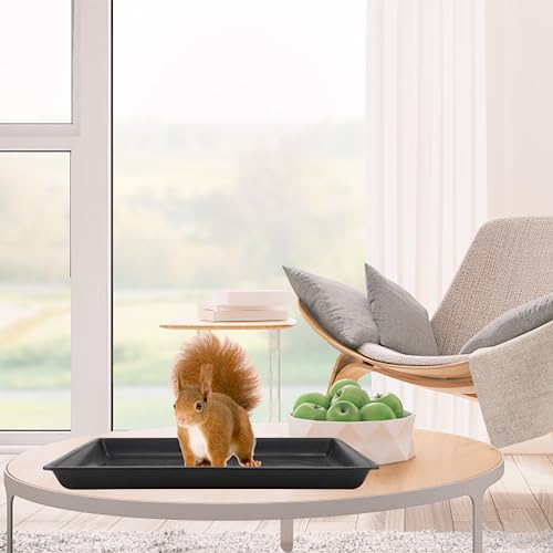 TEHAUX Dog Crate Tray, Dog Kennel Replacement Pan Rabbit Tray Plastic Potty Black Bird Cage s Replacement for Cat Cage Pet Supplies (43 * 32.5 * 2.5cm/16.98 * 12.77 * 0.98inch)