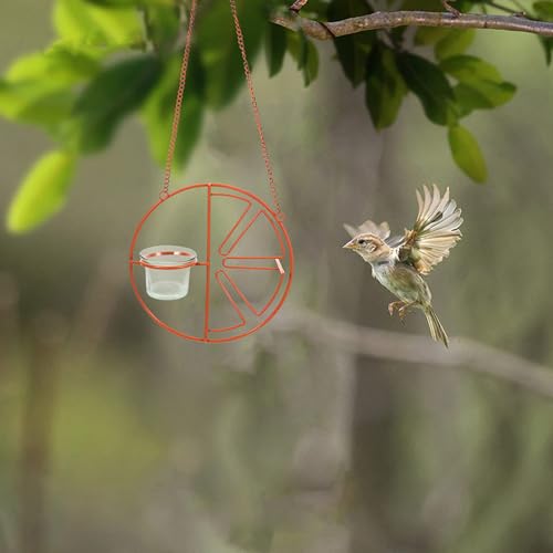 Angoily Oriole Feeder Replacement Cups, 5pcs Glass Bird Feeder Cups Replacement, Outdoor Hanging Small Bird Feeding Bowl, Durable Outdoor Accessories for Garden Patio Balcony