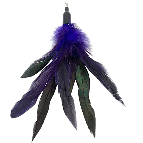 CATENESS Cat Feather Toys Refills, 10 Pieces Cat Wand Replacement Feathers Toy for Indoor Cats