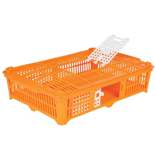 Premier 1 Quail Transport Crate - 26" L x 16" W x 5" H (Single) | For field-trials & farm use. Up to 30 quail or newborn chicks. Top & side doors. Pre-assembled, stackable. Solid floor. - size: 26.0"L x 16.0"W x 5.0"H
