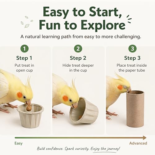 Parrot Foraging Shredding Chew Toys Natural Materials, Interactive Foraging for Birds, Tearing Chewing Bird Set, Enrichment Shredding Box for Parakeets Cockatiels Conures, Parrot Accessories (Natural)