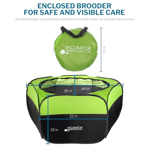 Insta Brooder™ for Hatchlings, Chicken Pop Up Playpen, 10.5 x 10 x 4 inches