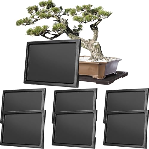 Pinkunn 6 Pcs Bonsai Humidity Tray for Indoors and Outdoor Rectangular Drip | 11 x 8 Inch,bonsai tray,bonsai pots for Bonsai Succulents Cactus, Plastic material, Catches Water, Stone Not Included - size: 11 x 8 Inch