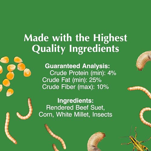 C&S Insect Suet Treat, Suet Cakes for Wild Birds, Pack of 8 | Suet cakes for woodpeckers, made with real insects, use in a suet feeder year-round - style: Insect, 8 Pack