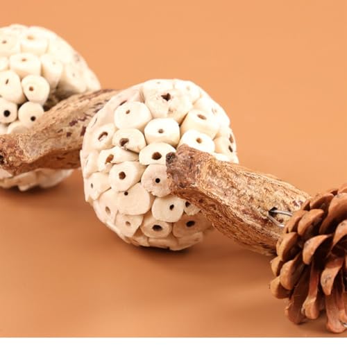 Bird Chew Toy for Pet Bird Parrot Sola Ball Natural Nuts Pinecone Chewing Toy for Small Parakeet Cockatiel Conures Finch Budgie (L) - size: L