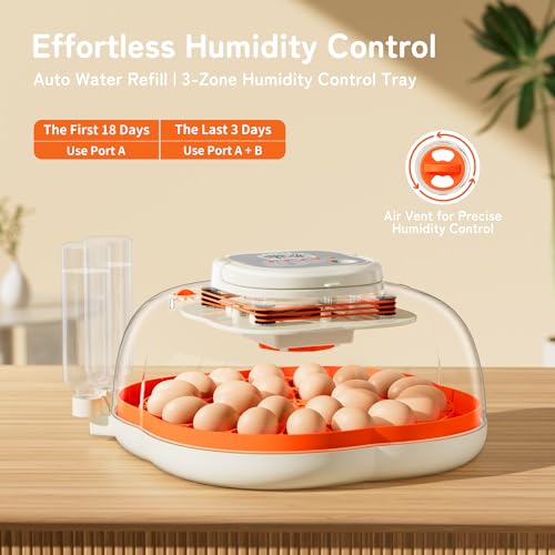 APDOE Egg Incubators for Hatching Eggs, Temperature and Humidity Control, Automatic Egg Turning, Egg Candler, External Water Bottle, Air Vent, for Chicken, Duck & Quail Eggs, 25 Eggs - color: Orange, size: 25 Eggs