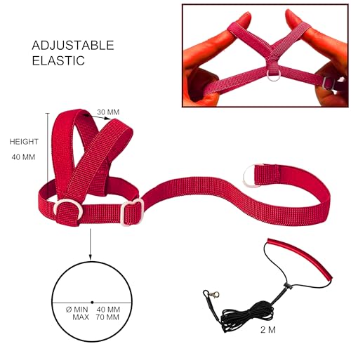 VANFAVORI Adjustable Bird Harness with 80-inch Leash, S Size, 2 Pack | For Bird Parrot Cockatiel and Similar Parrots 70-120 g. Includes 2 harnesses, Black and red, and 2 Leashes for Outdoor Flying
