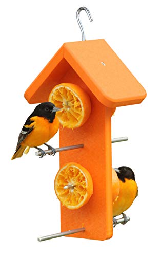Recycled Double Oriole Orange Fruit Feeder | Made from recycled milk jugs
