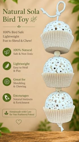 Shred and Destroy Bird Toy for Medium Birds - Conures, Cockatiels - Natural Sola Ball Hanging Chew Toy - 2 Pack - Boredom Buster Cage Toy