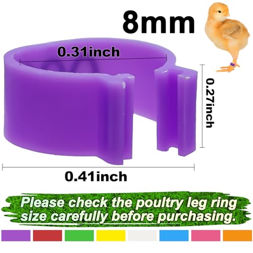 80 Pcs 8mm Pigeon Leg Bands with 8 Colors Numbered Quail Bird Identification Leg Bands Clip on Baby Poultry Foot Rings for Bantam Finch Dove Lovebird Coturnix Quail Small Birds - size: 8mm - 8 Colors