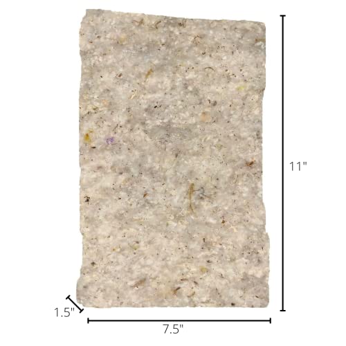 Hummingbird Nesting Material Refill, Soft Cotton Fibers for Wild Bird Nest Building, Goldfinches Titmice, Fits Deluxe Hummingbird Nester, Natural Bird Nesting Cotton