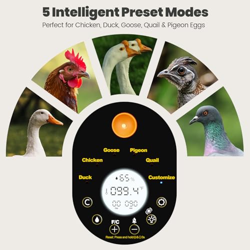 Incubators for Hatching Eggs -15-Egg Automatic Egg Chick Incubator with 5 Smart Preset Modes and Egg Turning, Temperature & Humidity Control Incubator for Goose Duck Quail Eggs