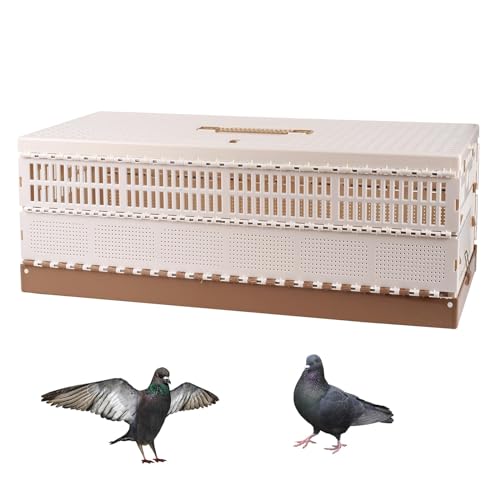 Plastic Portable Pigeon Bird Cage with Handle, XL | Bird Travel Cage, Carrier Pigeon Cage Pairing Cage, Pigeon Nest Box, Easy to Clean for Training Release Competition - size: 28.7"L x 13.4"W x 9.8"H
