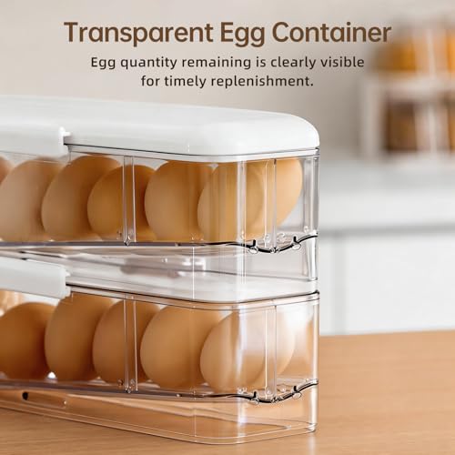 PAVSTINE 2-Tier Auto Rolling Egg Holder with Lid for Fridge, Clear | Stackable Egg Container, Large Capacity Holds Up To 14 Eggs, Refrigerator ＆ Kitchen Countertop Storage - size: 2-Tier with Lid