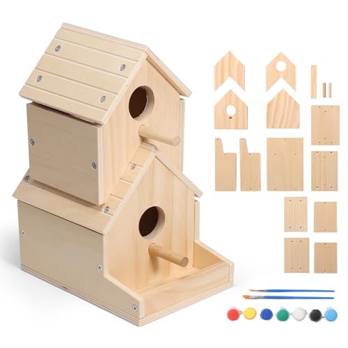 SainSmart Jr. Bird House 2-Story, Wooden Birdhouse Kids Woodworking Kit with Brushes and Paint - DIY Woodcraft Building Projects for Kids and Adults - STEM Teaching Tools, Ideal Gift for Boys & Girls