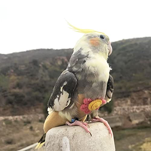 WAYUTO Pet Bird Diapers Cute Sun Flower Parrot Flight Suit with Elastic Strap Harness Equippable Washable Liners Cockatiel Clothes Nappy Light Weight Warm for Small Birds Cosplay Photo Prop - color: Yellow