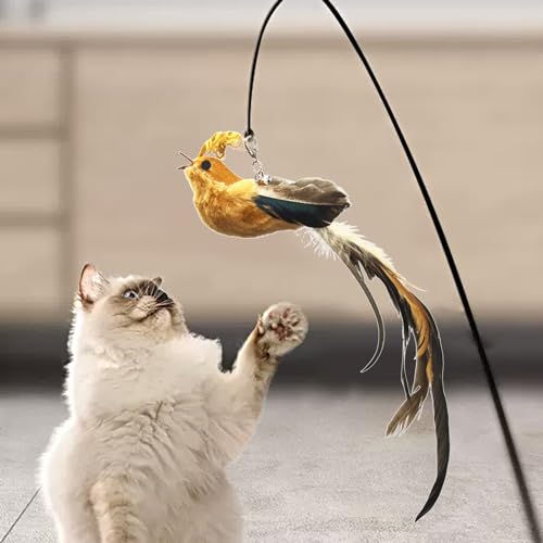 6 Pieces Cat Feather Toys Replacement Bird Cat Toy Wand Refills Cats Toy Replacement Natural Bird Feathers for Cats Toys - color: 6 Pcs Bird