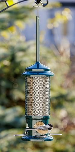 Squirrel Buster Standard Squirrel-proof Bird Feeder w/4 Metal Perches, 1.3-pound Seed Capacity, garden green | Four metal perches, weight-triggered closure, chew-proof design, easy cleaning