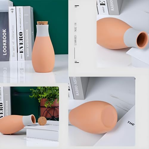 4 Pack Terracotta Watering Spikes, Vacation Self-Watering Planters Devices | Automatic Plant Waterer Outdoor&Indoor Use, Vacation Clay Watering Devices System, Slow Release Self Watering Planter Insert - color: Bowling Balls Set (Pack of 4)