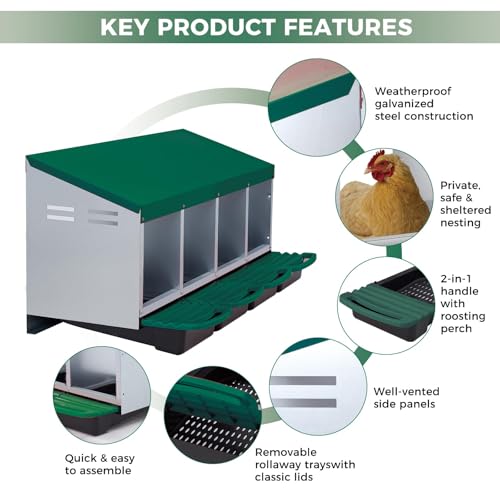 Garvee 4-Hole Rollaway Chicken Nesting Box for Hens –Chicken Nest Box with Removable Trays, Easy Egg Collection & Cleaning, Wall Mount or Freestanding, Sturdy Chicken Laying Boxes, Green - color: Green-4 Hole