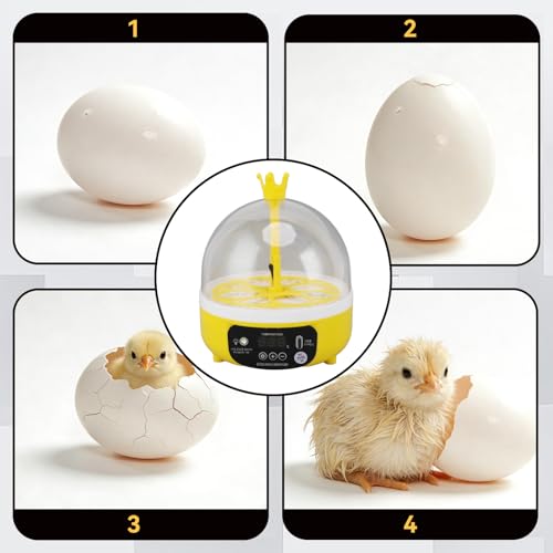 Mini Egg Incubator, 4 Egg Incubator Household Hatching Machine Automatic Temperature Humidity Control for Farm, Classroom, Home Use (Auto Turning) - style: Auto Turning