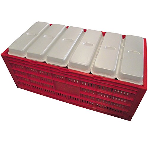 EGG TRAY CARTON TRANSPORT CRATE CHICKEN SHIPPING POULTRY CASE