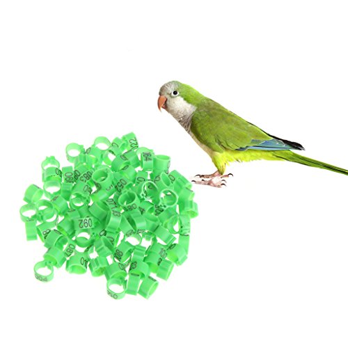 100 Pcs Chicken Bird Leg Rings Colorful Turkey Identification Leg Bands Poultry Leg Bands Clip for Pigeons Birds 10mm