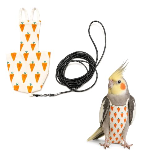 Cockatiel/Sun Conure Small Bird Diaper Harness and Leash (L) | Washable Reusable, Large Capacity, Small Parrot Diapers, Outdoor Flying Training