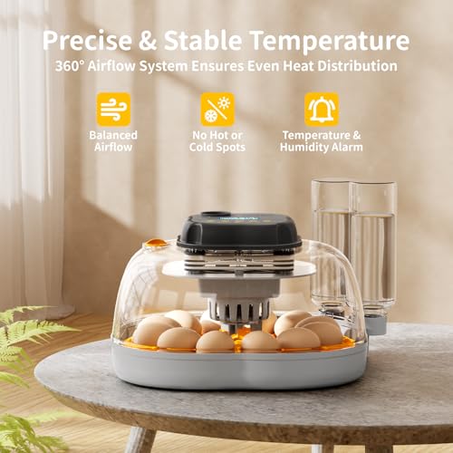 Egg Incubators for Hatching Eggs, 12 Chicken or 30 Quail Eggs Incubator | Dual Egg Trays, Auto Egg Turning, Auto Water Refill, Incubation Timer, 360° Clear View Window & Built-in Egg Candler - color: Yellow, size: 12 Eggs